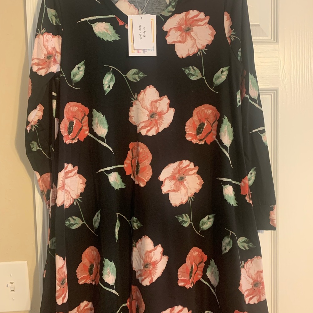 Lularoe Emily dress